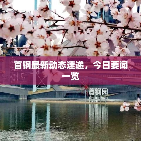 首钢最新动态速递，今日要闻一览