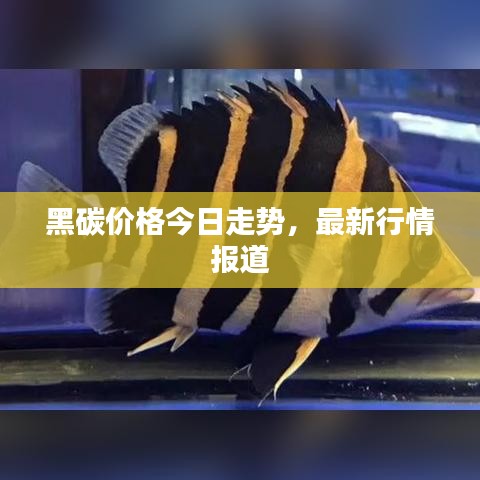炙手可热 第2页