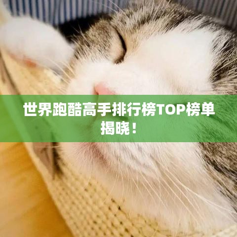 世界跑酷高手排行榜TOP榜单揭晓！