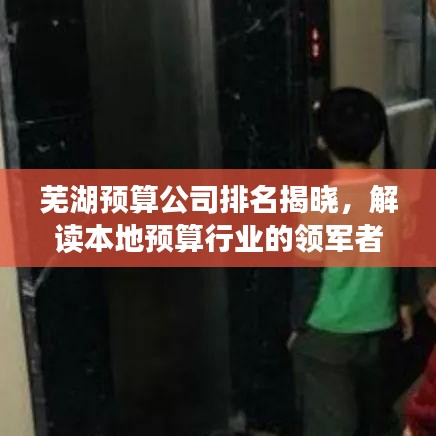 芜湖预算公司排名揭晓，解读本地预算行业的领军者