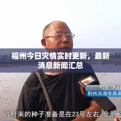 神采奕奕 第3页