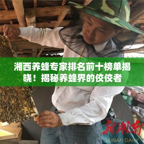 湘西养蜂专家排名前十榜单揭晓！揭秘养蜂界的佼佼者