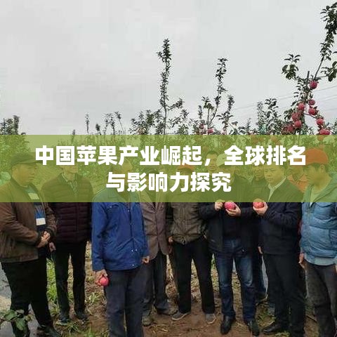 中国苹果产业崛起，全球排名与影响力探究