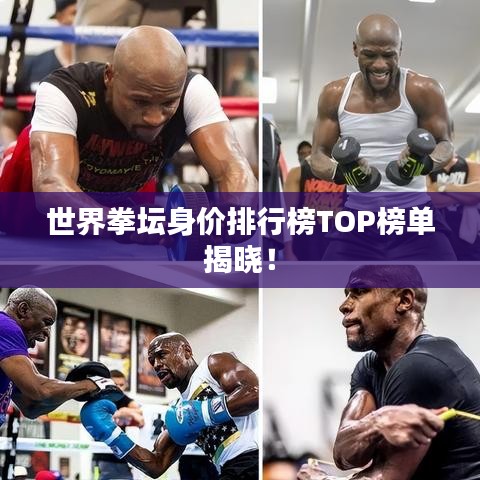 世界拳坛身价排行榜TOP榜单揭晓！