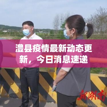 澧县疫情最新动态更新，今日消息速递