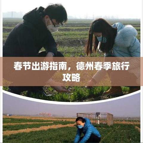 春节出游指南，德州春季旅行攻略