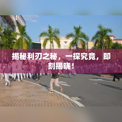揭秘利刃之秘，一探究竟，即刻揭晓！