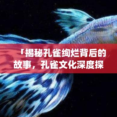 「揭秘孔雀绚烂背后的故事，孔雀文化深度探索手机百度独家呈现」