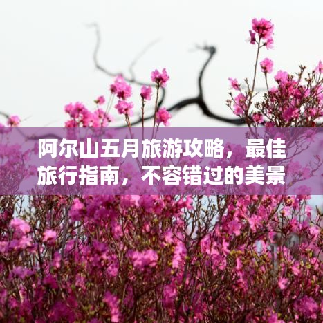 阿尔山五月旅游攻略，最佳旅行指南，不容错过的美景体验！