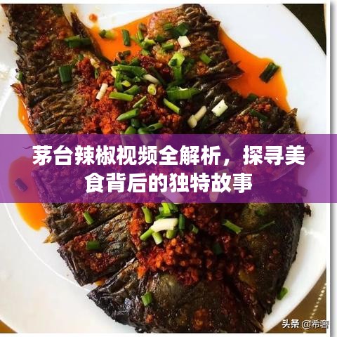茅台辣椒视频全解析，探寻美食背后的独特故事