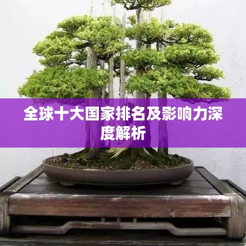 全球十大国家排名及影响力深度解析