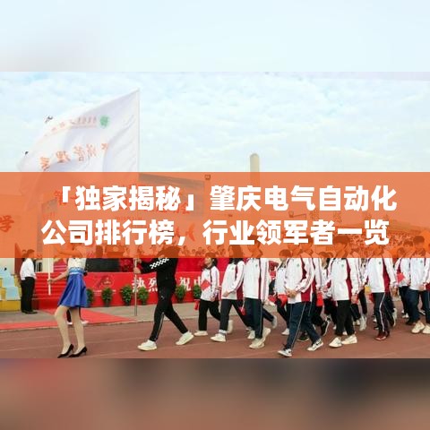 「独家揭秘」肇庆电气自动化公司排行榜，行业领军者一览无余！