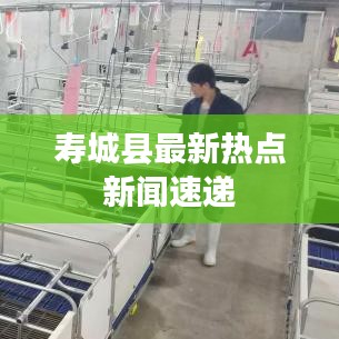 寿城县最新热点新闻速递