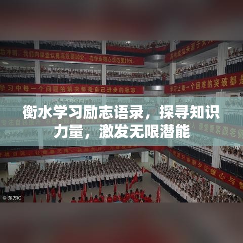 衡水学习励志语录，探寻知识力量，激发无限潜能