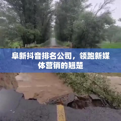 阜新抖音排名公司，领跑新媒体营销的翘楚