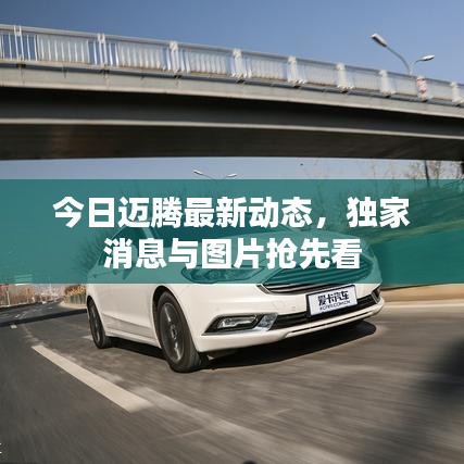 今日迈腾最新动态，独家消息与图片抢先看