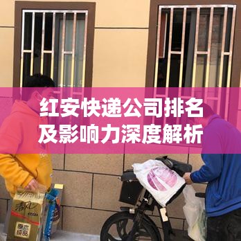 红安快递公司排名及影响力深度解析
