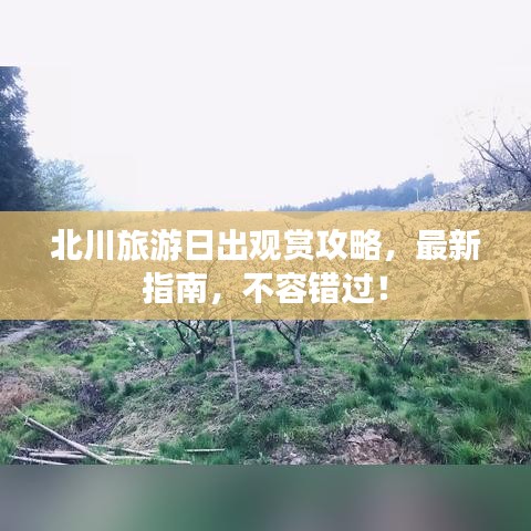箪瓢陋巷 第2页
