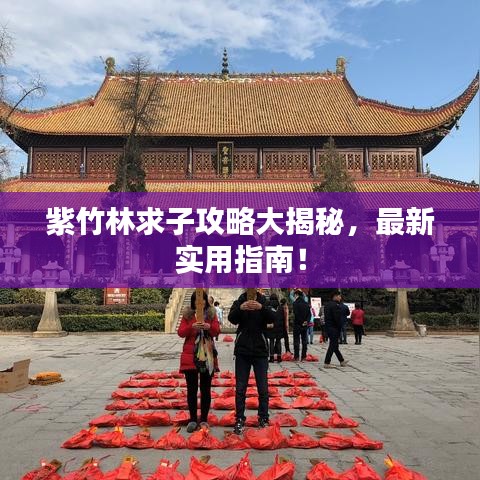 紫竹林求子攻略大揭秘，最新实用指南！