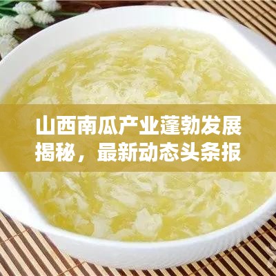 山西南瓜产业蓬勃发展揭秘，最新动态头条报道