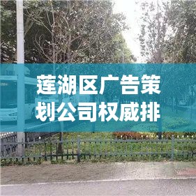 莲湖区广告策划公司权威排名榜，揭秘行业领军者！