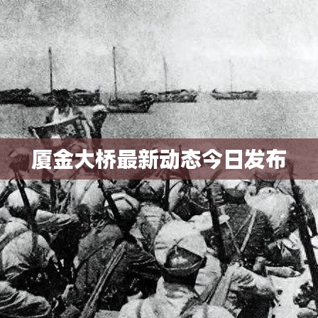 厦金大桥最新动态今日发布