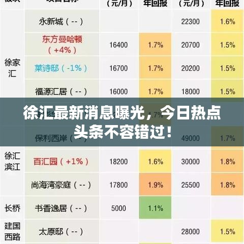 徐汇最新消息曝光，今日热点头条不容错过！