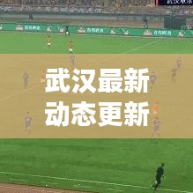 武汉最新动态更新，今日新情况揭秘