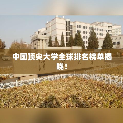中国顶尖大学全球排名榜单揭晓！