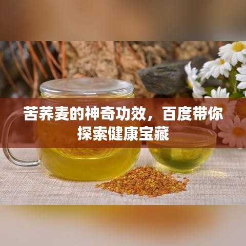 苦荞麦的神奇功效，百度带你探索健康宝藏