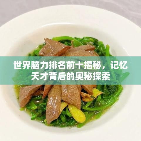 世界脑力排名前十揭秘，记忆天才背后的奥秘探索