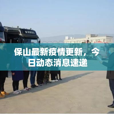 保山最新疫情更新，今日动态消息速递