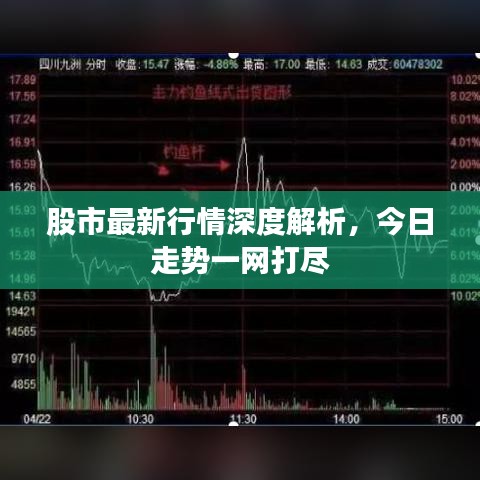 股市最新行情深度解析，今日走势一网打尽