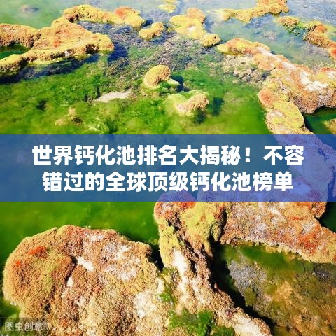世界钙化池排名大揭秘！不容错过的全球顶级钙化池榜单