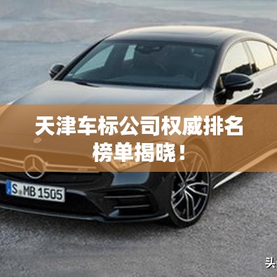 天津车标公司权威排名榜单揭晓！