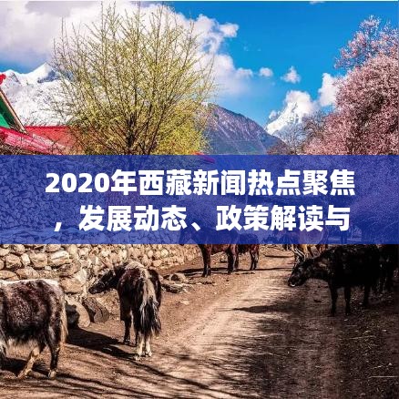 2020年西藏新闻热点聚焦，发展动态、政策解读与头条综述