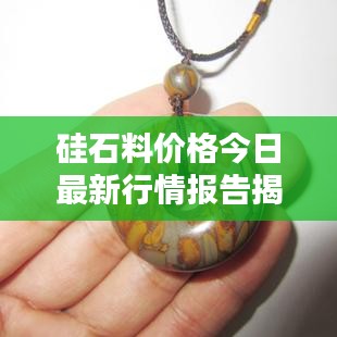 硅石料价格今日最新行情报告揭秘！