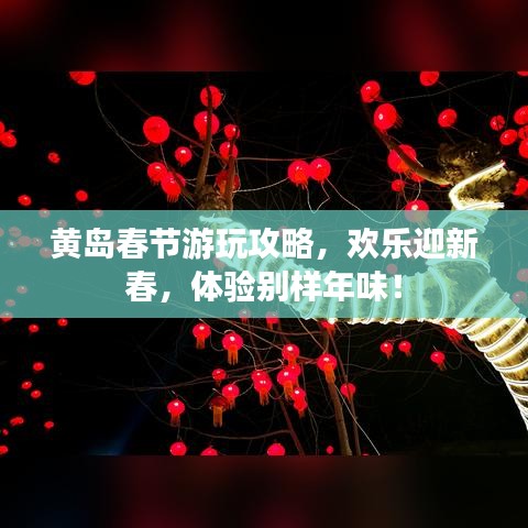 黄岛春节游玩攻略，欢乐迎新春，体验别样年味！