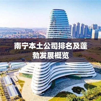 南宁本土公司排名及蓬勃发展概览