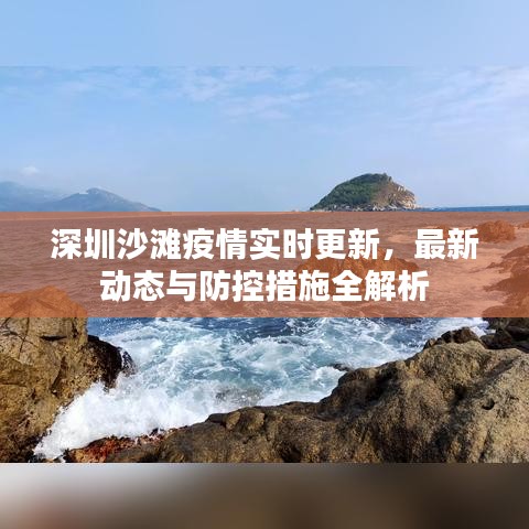 深圳沙滩疫情实时更新，最新动态与防控措施全解析