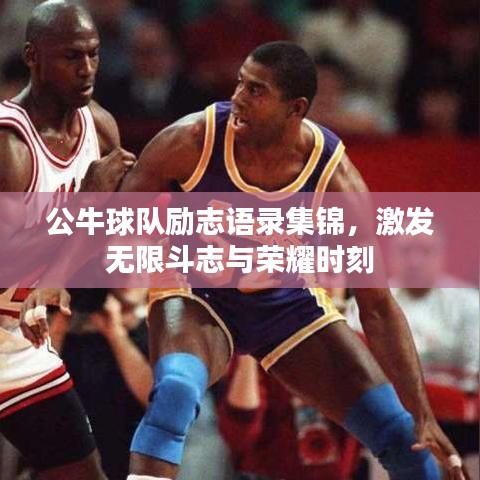 公牛球队励志语录集锦，激发无限斗志与荣耀时刻