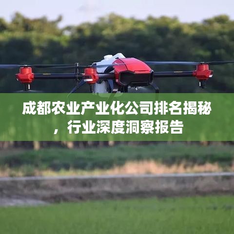 成都农业产业化公司排名揭秘，行业深度洞察报告
