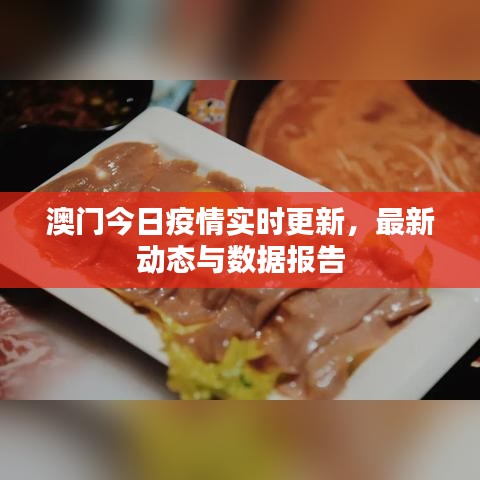 澳门今日疫情实时更新，最新动态与数据报告