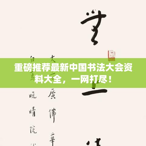 重磅推荐最新中国书法大会资料大全，一网打尽！