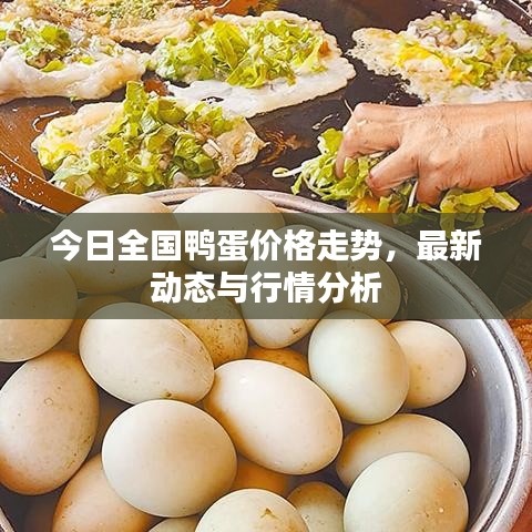 今日全国鸭蛋价格走势，最新动态与行情分析