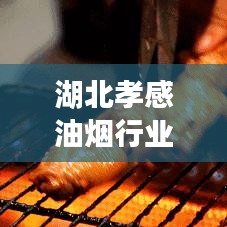 湖北孝感油烟行业TOP10解析，领先企业排名及实力揭秘
