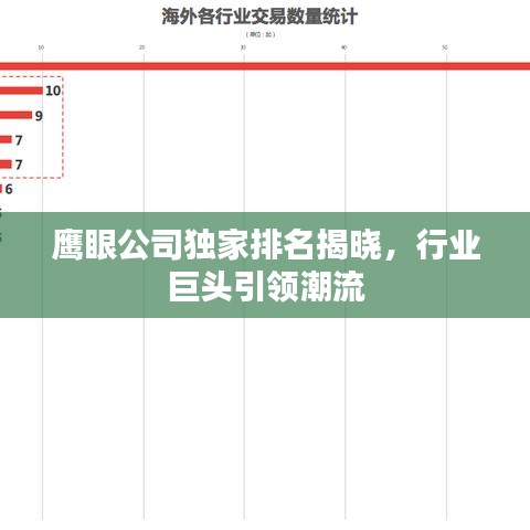 鹰眼公司独家排名揭晓，行业巨头引领潮流