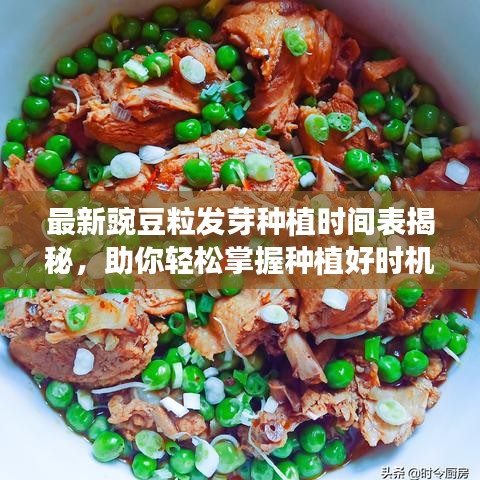 最新豌豆粒发芽种植时间表揭秘，助你轻松掌握种植好时机！