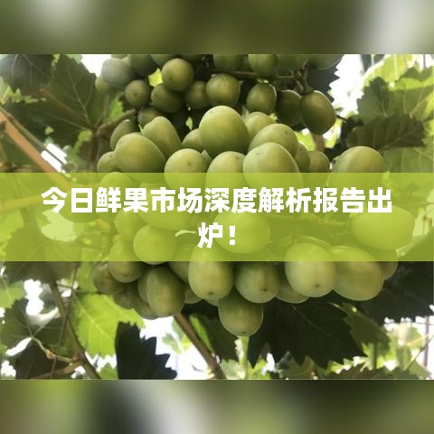 今日鲜果市场深度解析报告出炉！