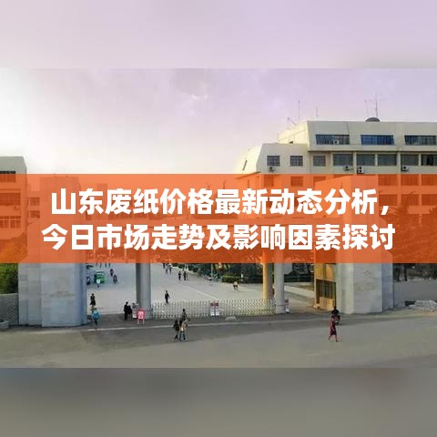 山东废纸价格最新动态分析，今日市场走势及影响因素探讨